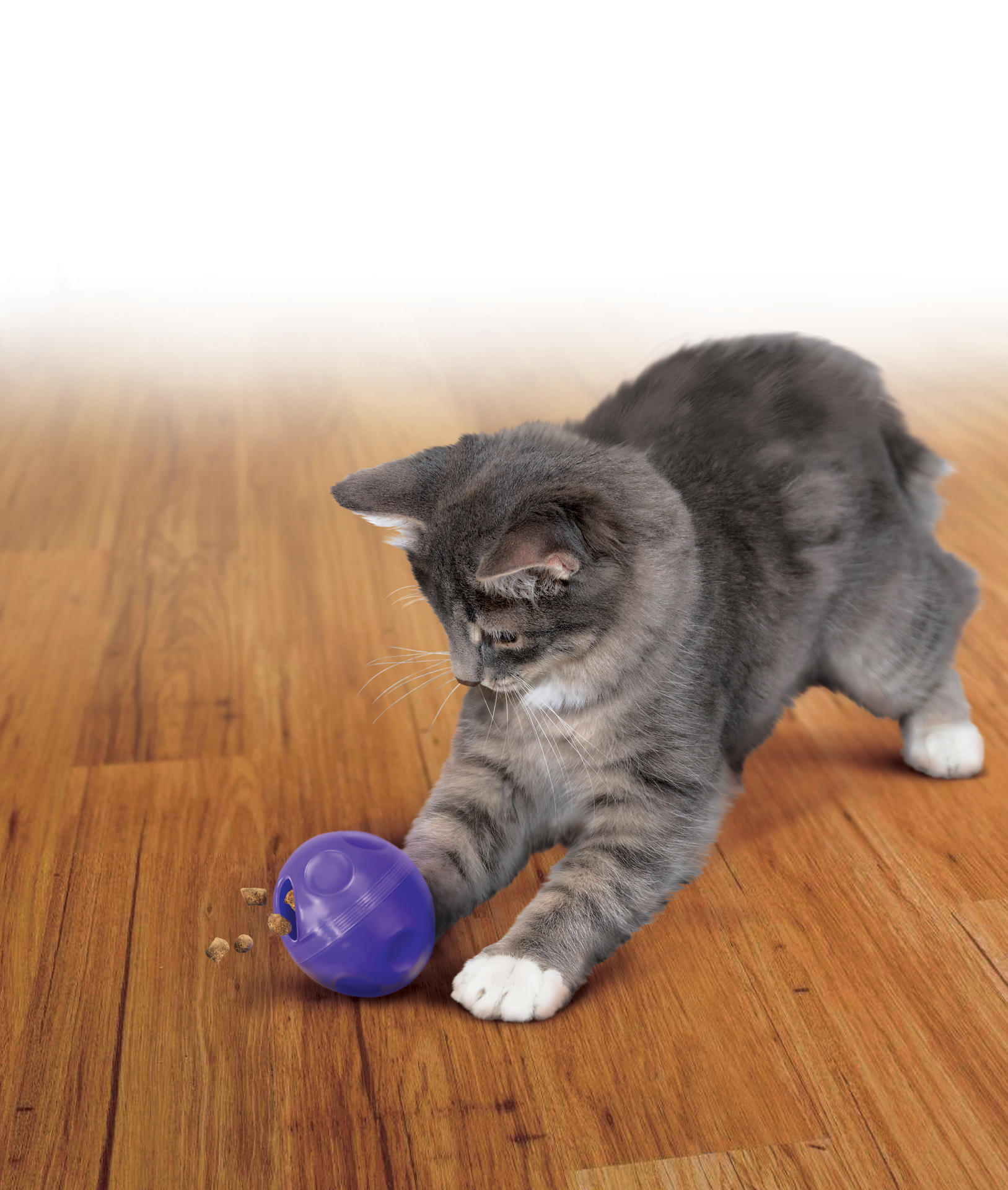 Cat cat refillable ball cat toy