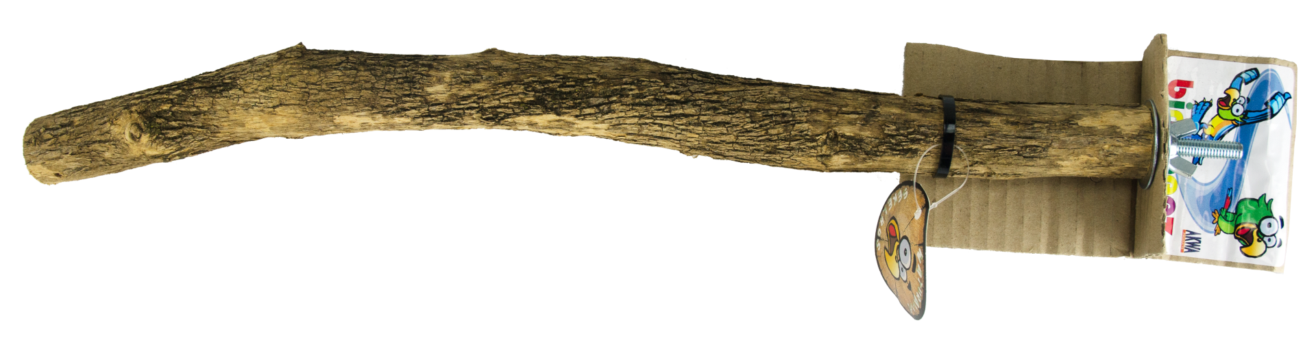 Natural Sekelbos Sitting rod 50cm nail beak clipper