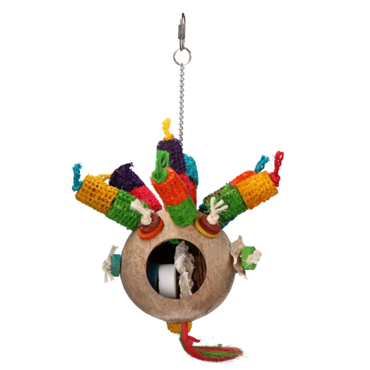 Kakamora funny bird game