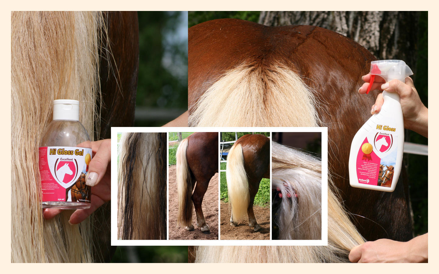 Tail and mane! care for horse