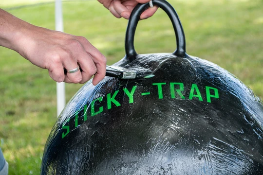 fly Trap ball