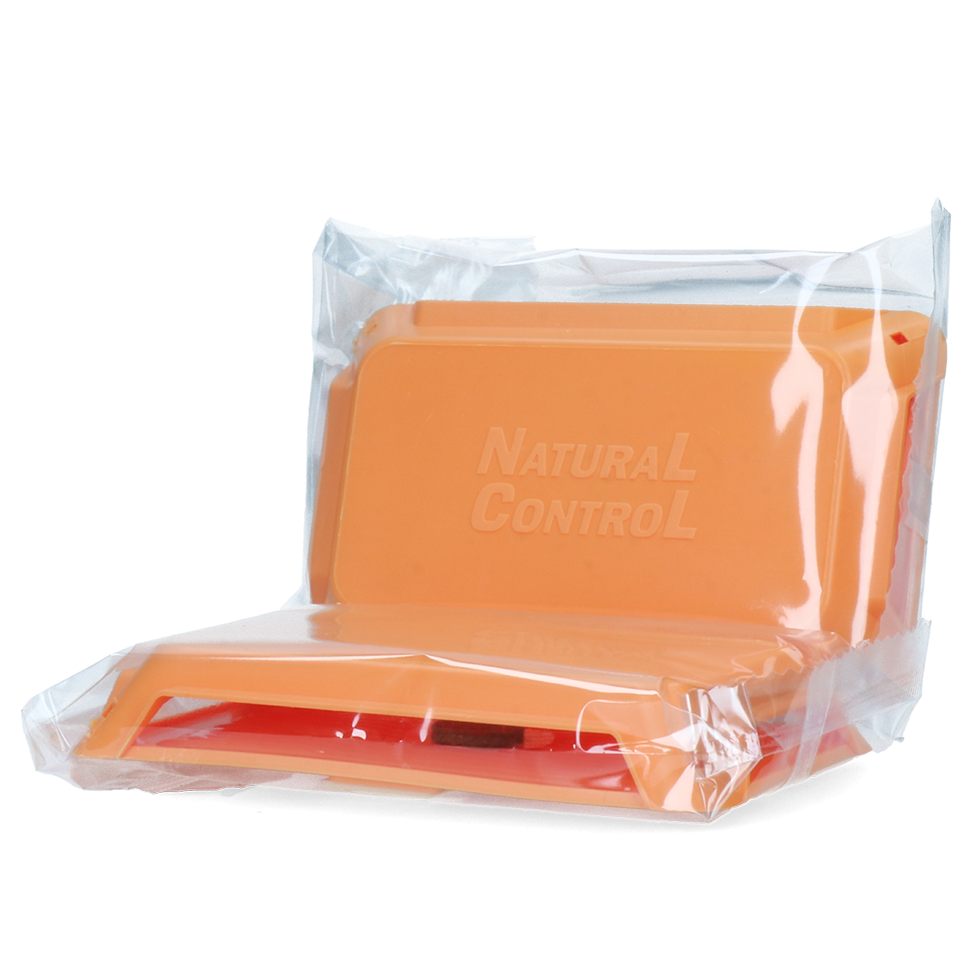 Cloth moth trap Hygiene cleaning pest-free Rodent and other pest control