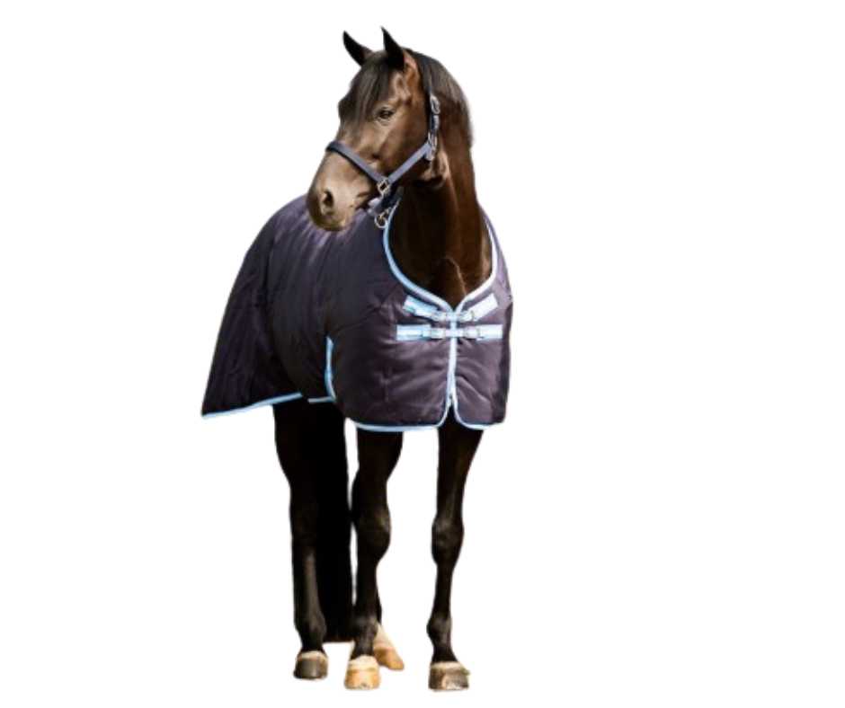 Marlou winter horse rug