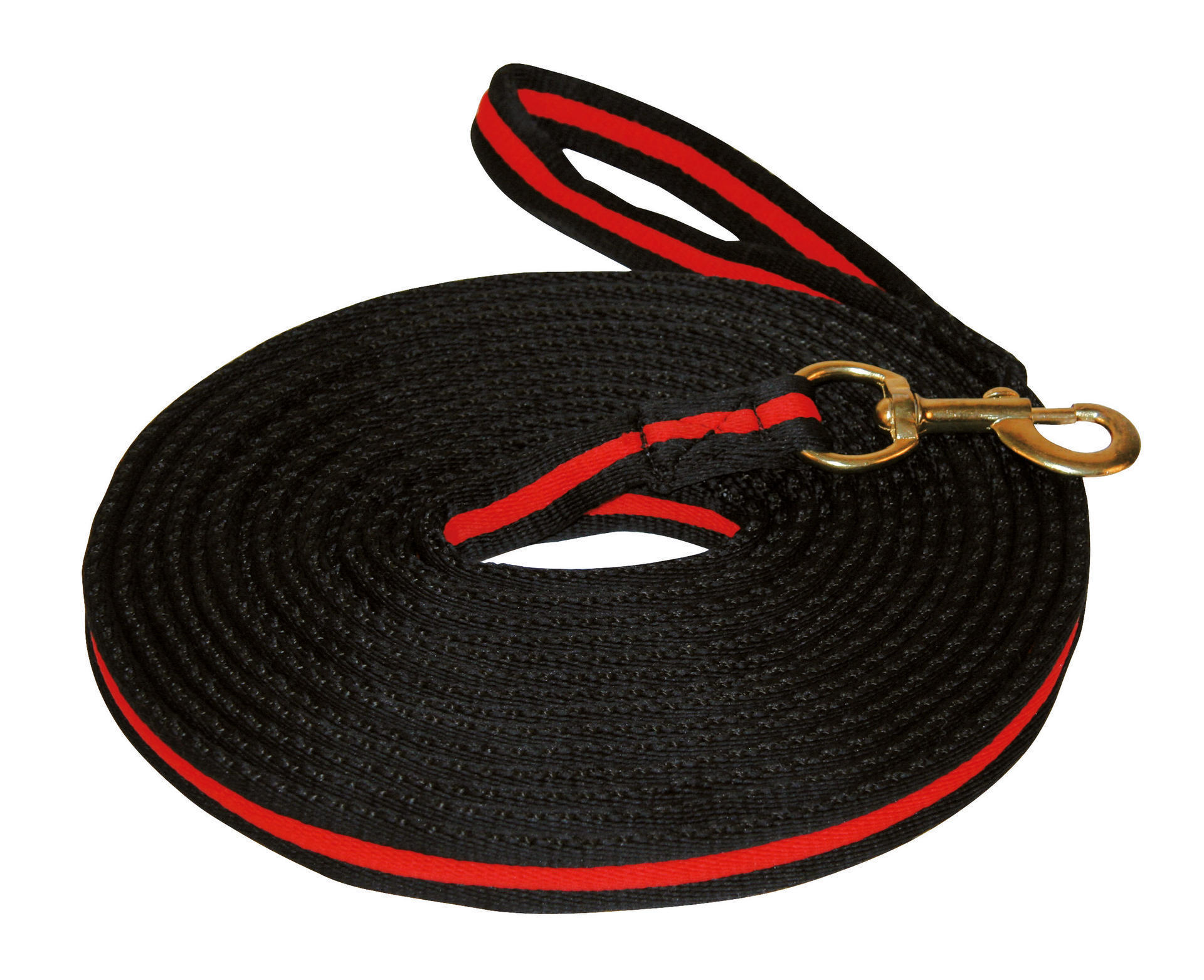Lunge rope
