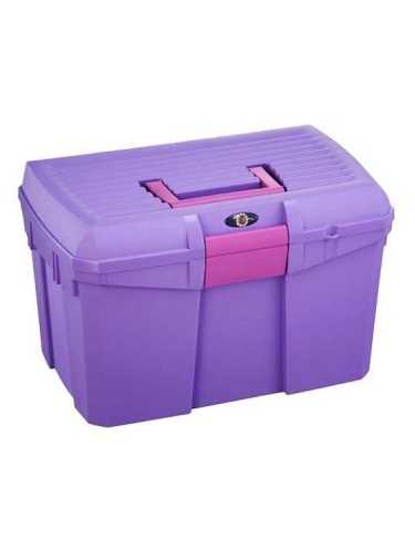 Luxe cleaning tool box for horse care