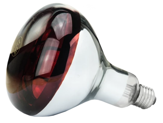 Infrared lamp 150 W for red piglet rearing