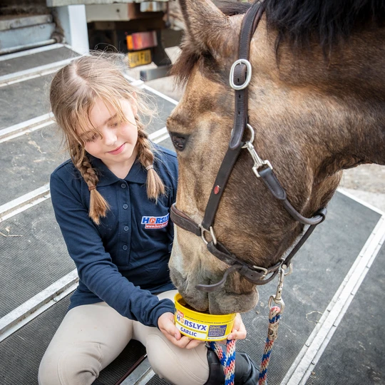 Flavoured lollipops for horses