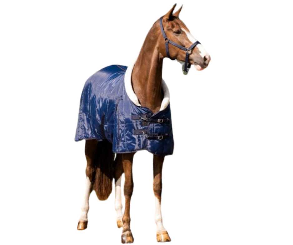 Basa horse rug