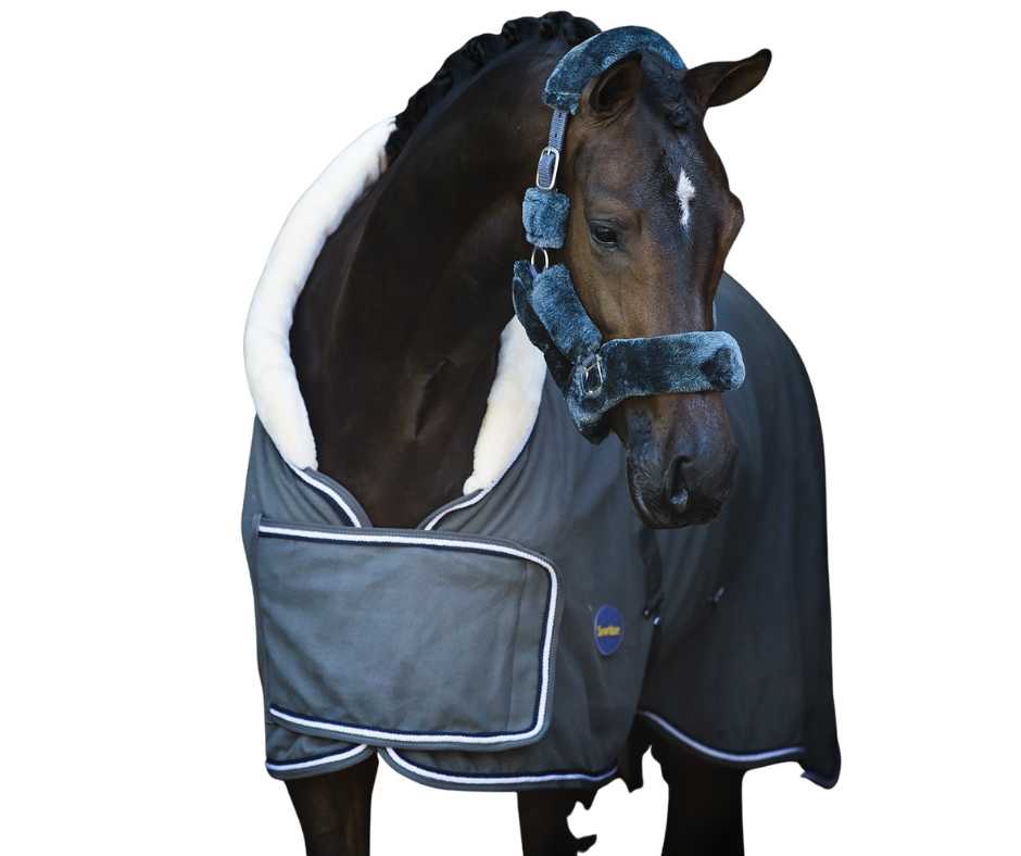 Anton horse rug