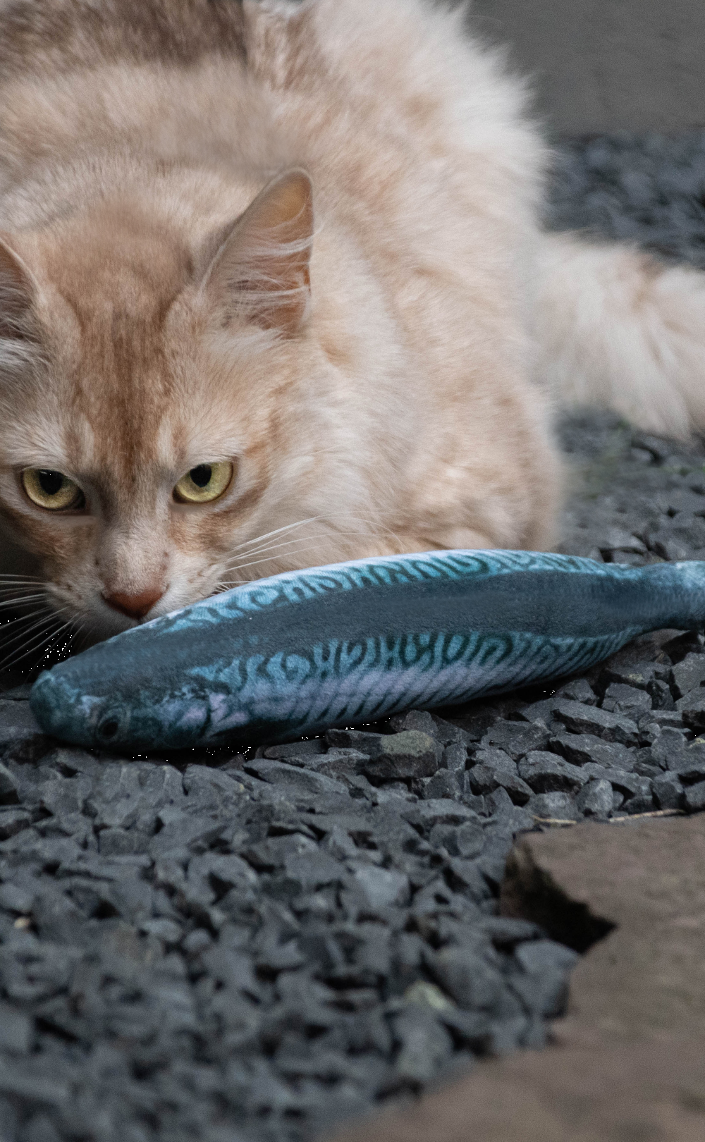 Cod S 16cm cat toy
