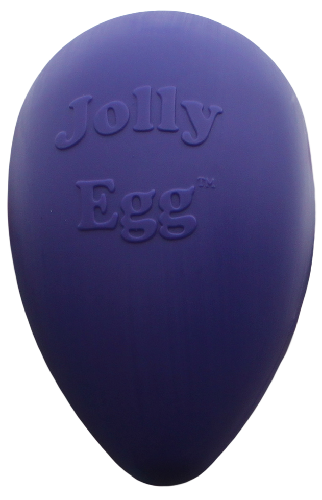 egg-shaped toy 20 cm purple dog toy