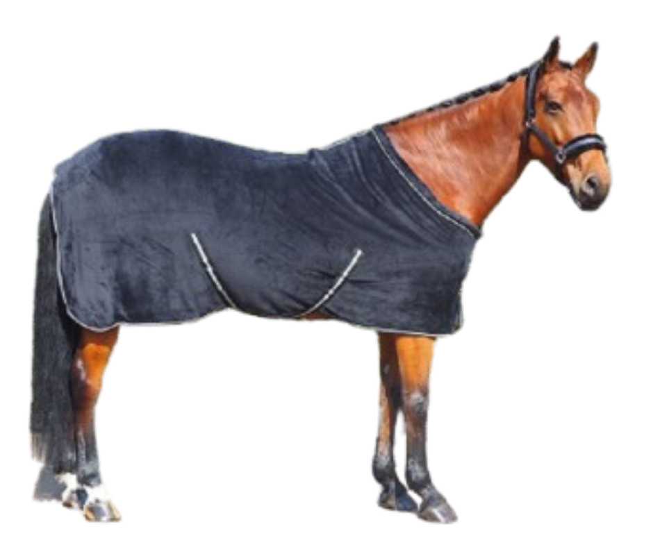 Coraly horse rug