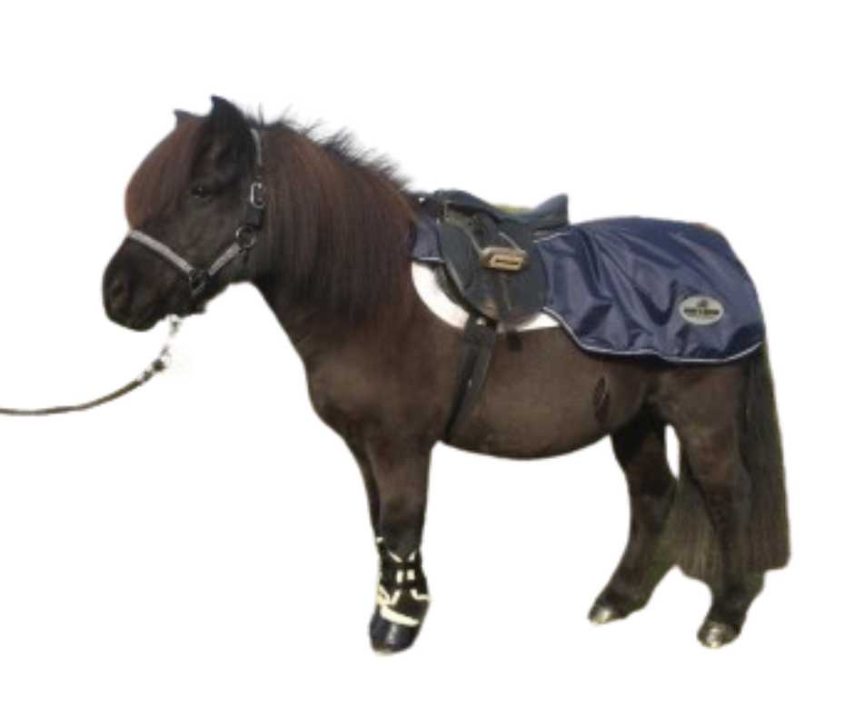 Harry and Hector rain blanket for pony