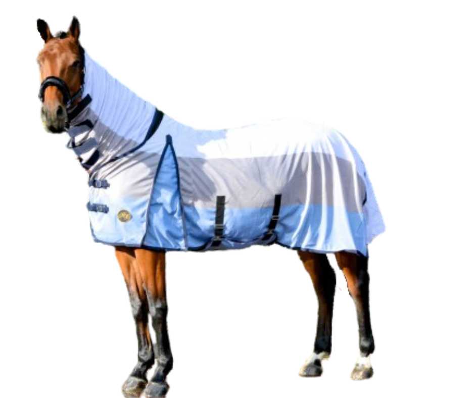 Orion Horse blanket