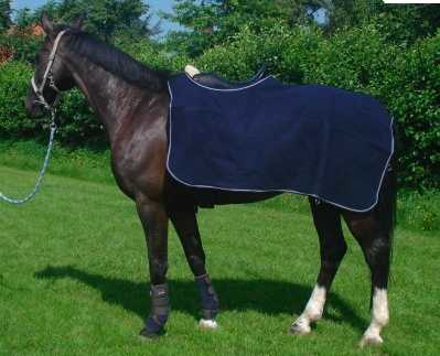 Marsala Horse rug