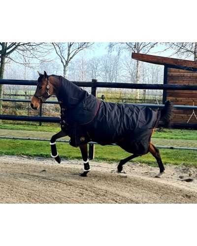 Kentucky Waterproof winter horse rug