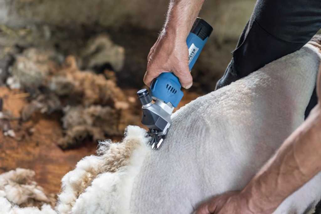 Clipster cordless shaver