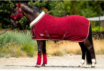 Antony horse rug