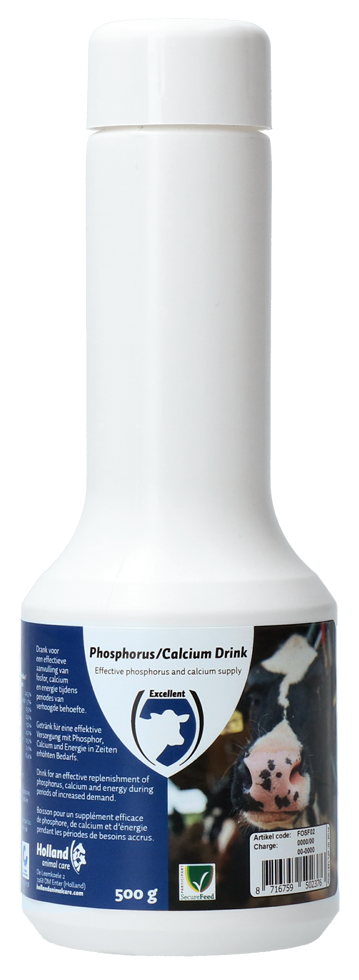 Phosphorus, calcium drink, cattle birth, calving