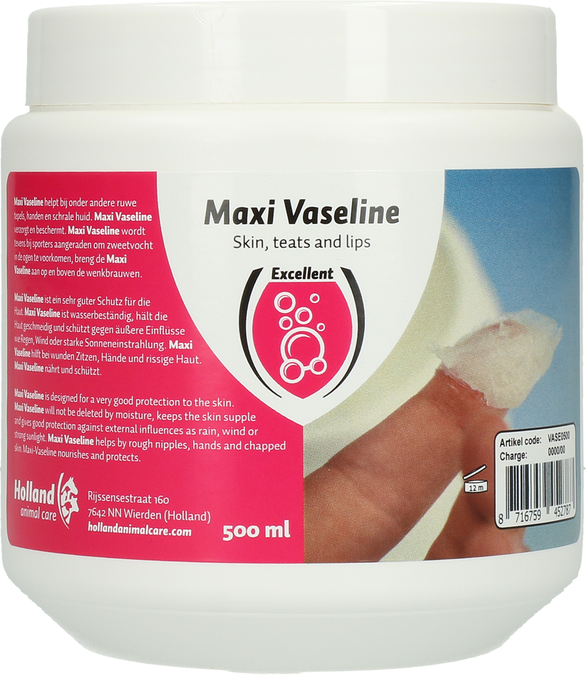 Maxi Vaseline multifunctional ointment for all occasions