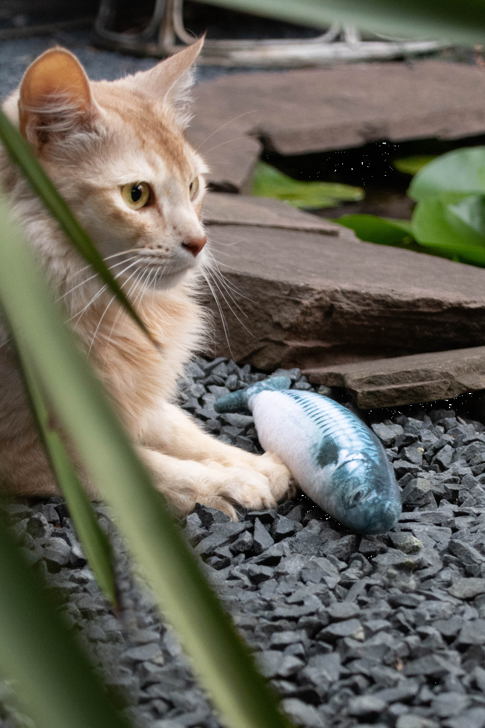Cod S 16cm cat toy