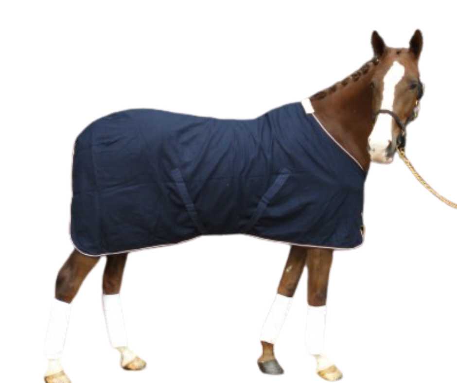 Belle thin horse blanket