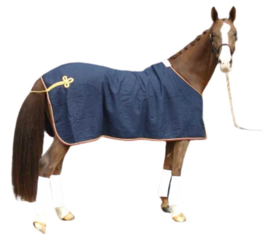 Paola horse rug