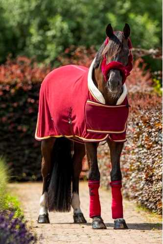 Antony horse rug