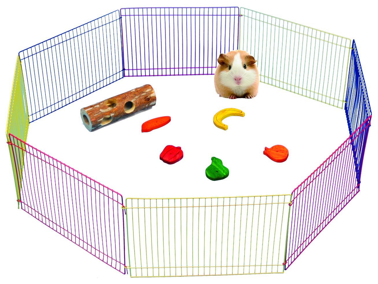 Pet rodent run
