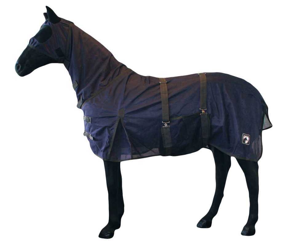 HHS fly rug