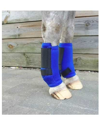 221  Tendon protection boots neoprene 3-in-1 royal blue minishetland horse foot protection