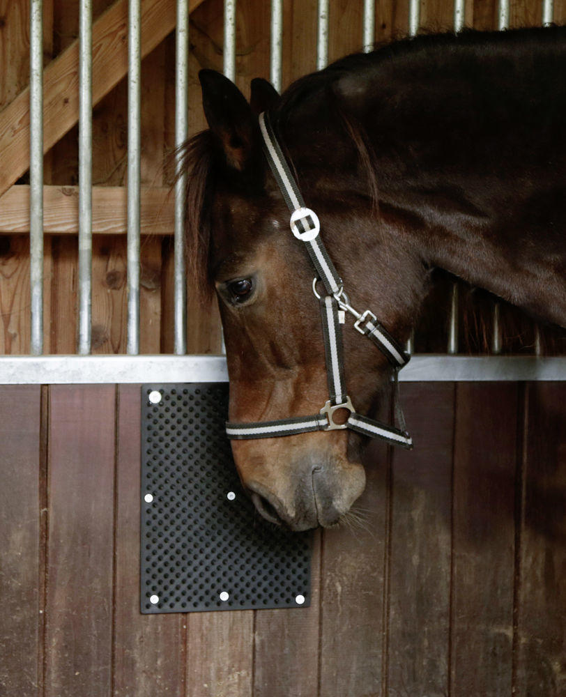 Scratch mat, scratching horse care black (L40xW30cm)