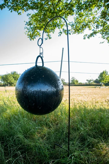 fly Trap ball