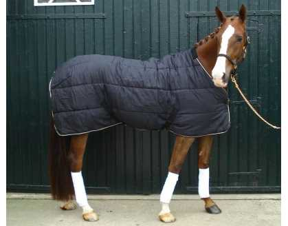 Novara horse rug