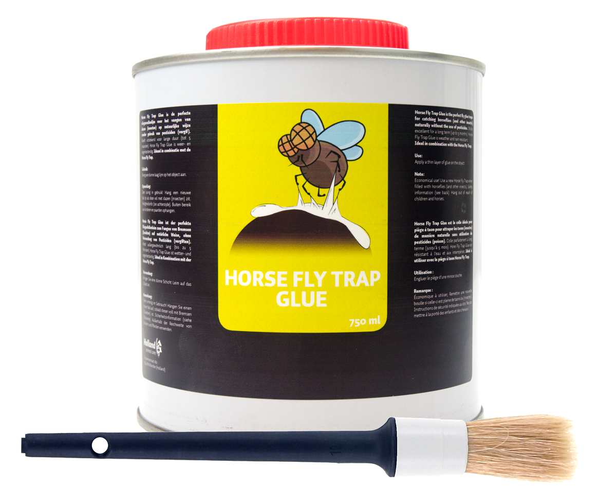 fly trap glue