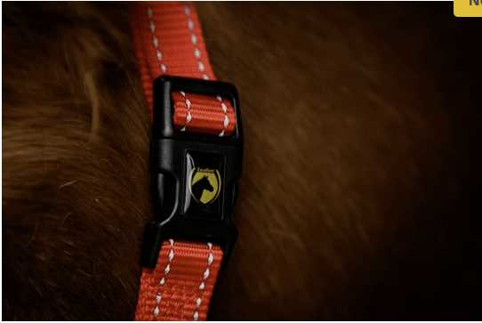 Monza Headcollar, halter
