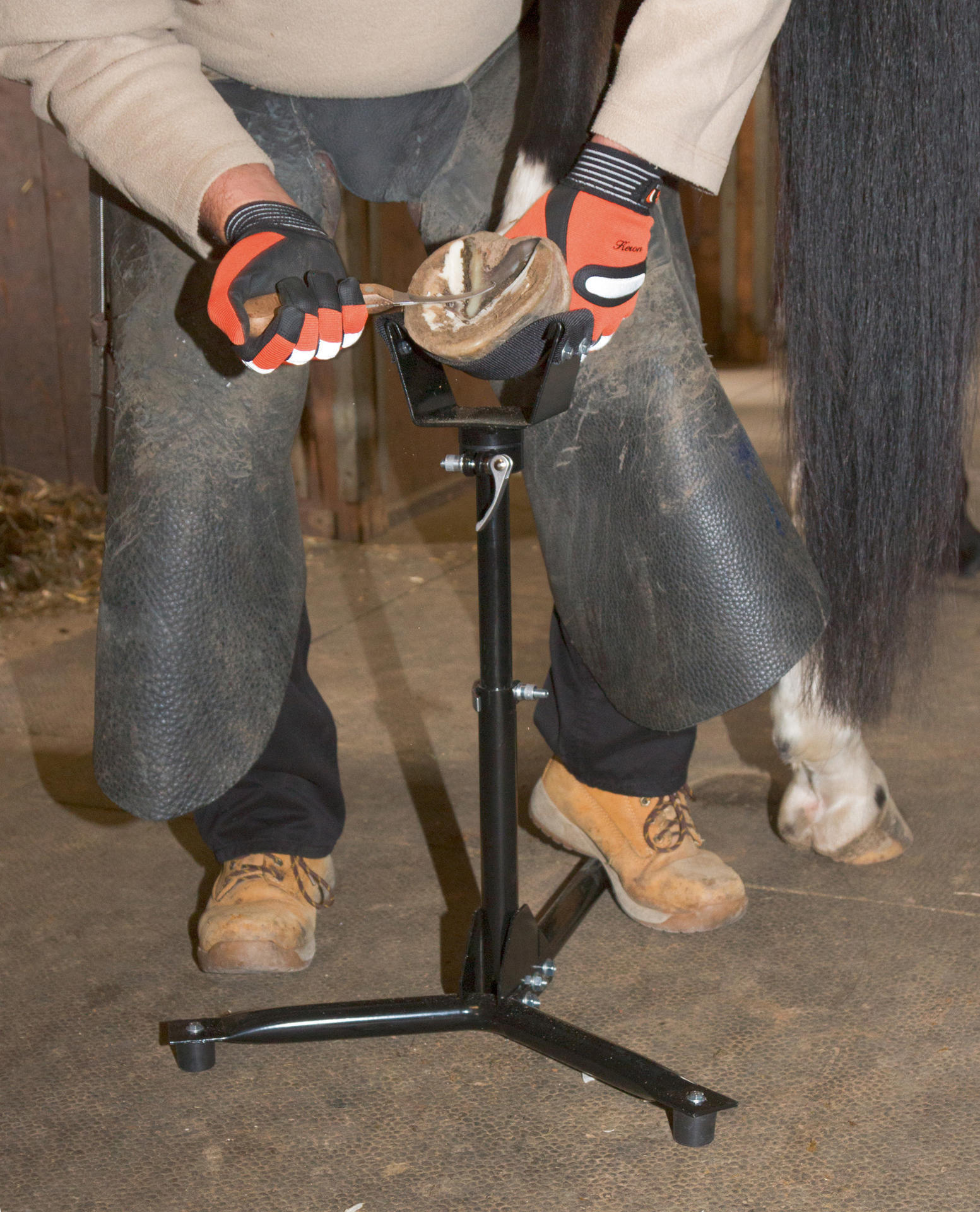 Rear stand EcoFlex 2 in 1, horse shoeing, hoof care
