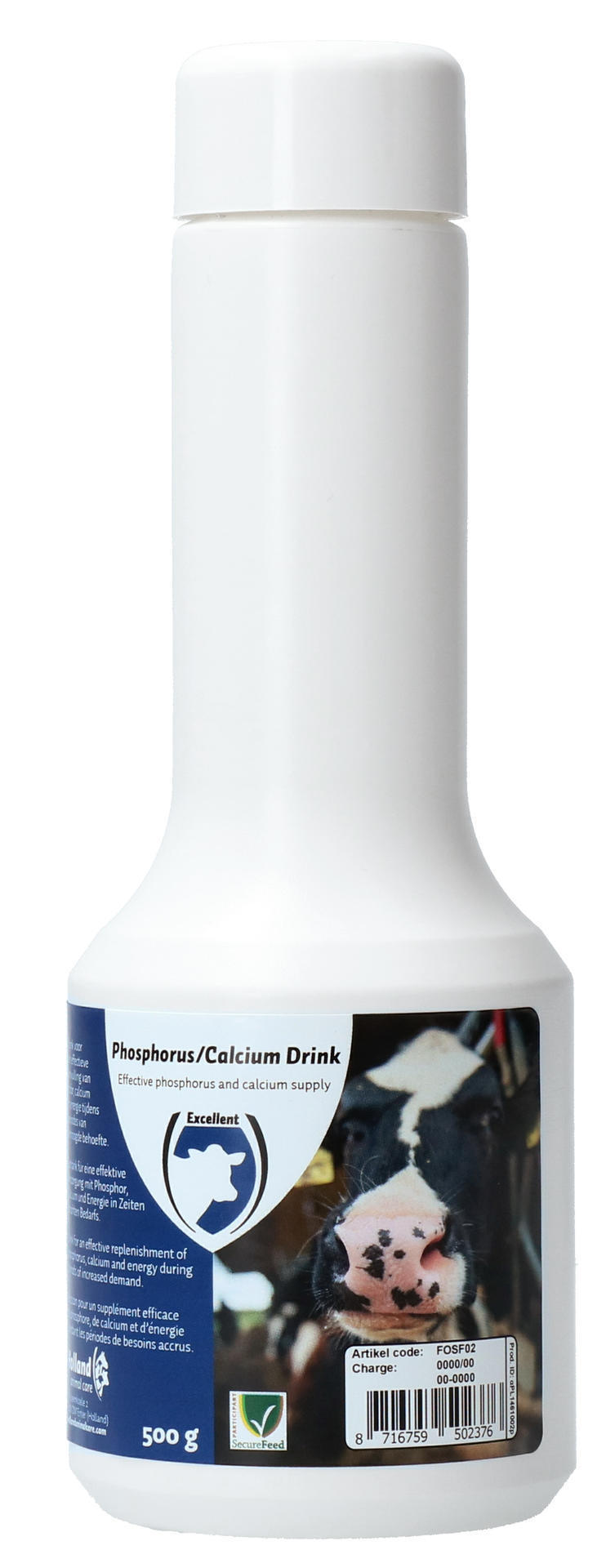 Phosphorus, calcium drink, cattle birth, calving